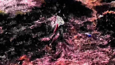 episode10preview