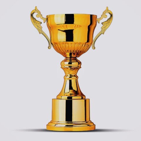 trophysmack gold cup topper or standalone trophy 307167730074211